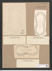 Surirella formosa Cleve (de-Toni-Nr.: Genus 53, Species 2285) Zeichnungen Sammlung Grunow Nr. 4737 (NHMW-BOT-W0372842)